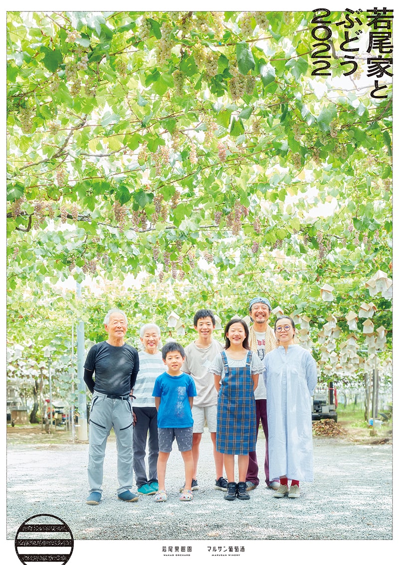 若尾果樹園／マルサン葡萄酒のリーフレット